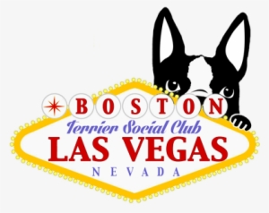 Las Vegas Boston Terrier Meetup - Boston Terrier Las Vegas #1031155