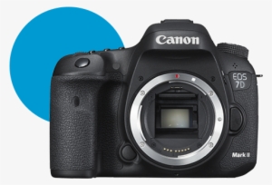 Cámaras Eos - Asistencia - Canon Eos 7d Mark Ii (g) (body) Wi-fi Adapter Kit #1031273