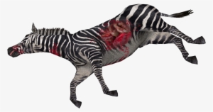 Dead Zebra - Quagga #1031442