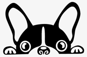 Boston Terrier French Bulldog Brazilian Terrier Puppy - Perro Bulldog Frances Dibujo #1031506