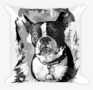 Boston Terrier Artistic Photo Art Decorative Pillow - Art #1031547