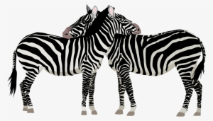 Clip Art Black And White Download Zebras Big Image - Zebras Clipart #1031615