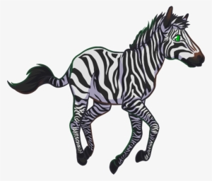 Chibi Zebra - Zebra #1031659