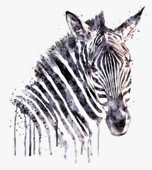 Bleed Area May Not Be Visible - Zebra Head Art #1031716