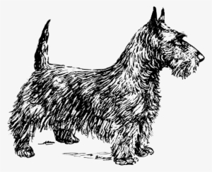 Scotch Terrier Bw Clipart Png #1031785