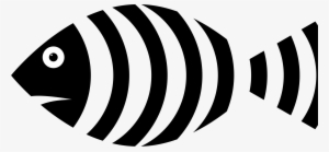 Collection Of Free Clipped Clipart Svg Download - Zebra Fish Black And White #1031810