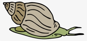 Snail Cliparts #1031873