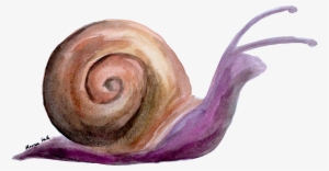 New Year New Look - Facebook #1032062