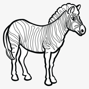 , , - Zebra Line Art #1032110