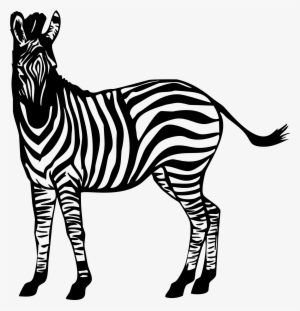 This Free Icons Png Design Of Zebra Illustration #1032127