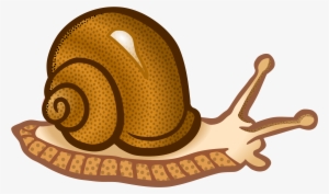 This Free Icons Png Design Of Snail #1032144