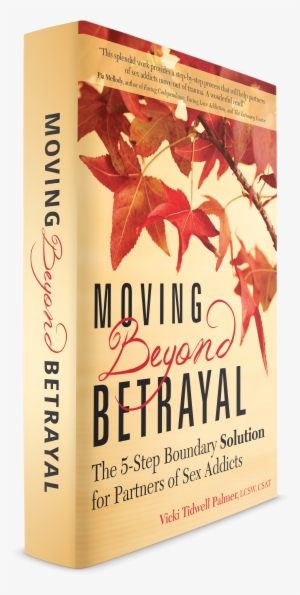 Book Cover Large - Moving Beyond Betrayal: The 5-step Boundary Solution #1032163
