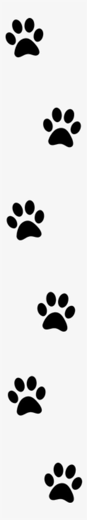 Paw Print Free Pictures On Pixabay Paw Print Clipart - Wall Sticker Paw Prints #1032380