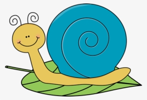 Cliparts Similar To Snail Clipart Transparent - Snail Clip Art #1032557