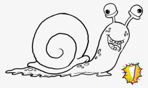 Snail - Mrflacko #1032786