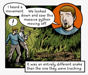 Com/the Snakes That Ate Florida E7a52ea72aab - Cartoon #1034401