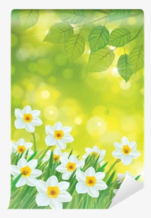 Vector Daffodil Flowers On Spring Background - Printing And Writing Paper #1034521
