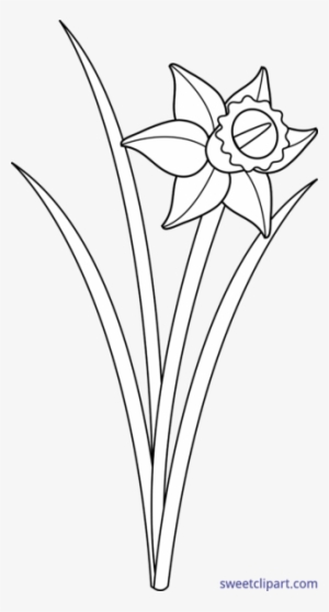 Sweet Clip Art - Black And White Daffodil #1034640