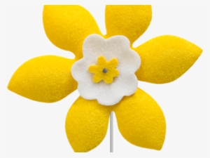 Canadian Cancer Society #1034938