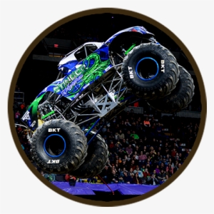 The All Star Monster Truck Tour Will Showcase A Head - Stinger Unleashed Monster Truck #1035168