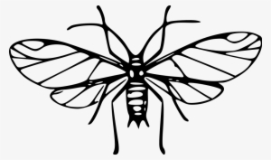 How To Set Use Mosquito Clipart #1035185