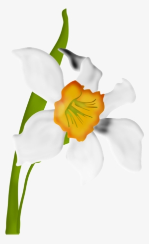 On Цветы - Portable Network Graphics #1035661