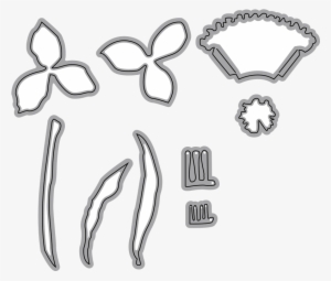 Garden Notes - Daffodil/ Narcissus - Scrapbooking #1035919