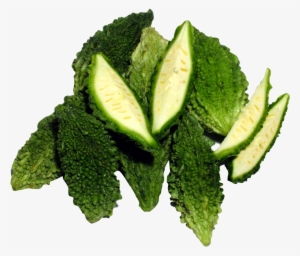 Bitter Gourd Png Image - Bitter Melon Png #1036342