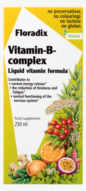 Salus Haus Floradix Vitamin B Complex, Liquid Vitamin - B Complex Vitamins Liquid #1036518