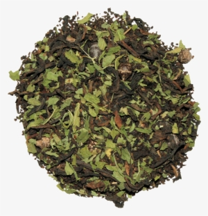 Chocolate Mint Ice - Shinzō Abe #1036630