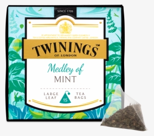 Discovery Collection Medley Of Mint #1036860