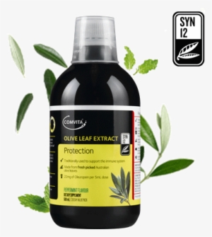 Made From Fresh Olive Leaves #1037107