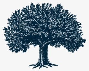Tree Illustration #1037214 Tree Illustration #1037214