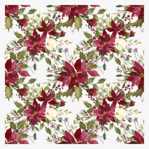 Яндекс - Фотки - Poinsettia #1037441