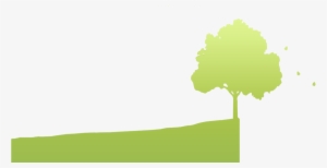 Planting & Tree Care - Boom #1037584