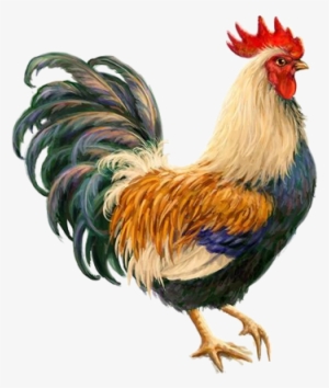 Petuh - Cross Stitch Patterns Roosters #1037919