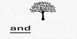 Follow - Genealogy Basics In 30 Minutes By Shannon Combs-bennett #1038023