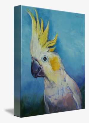 Transparent Stock By Michael Creese Pinterest Buy Prints - Cockatoo Art #1038063