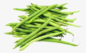 Green Bean Png - Green Beans Png #1038198