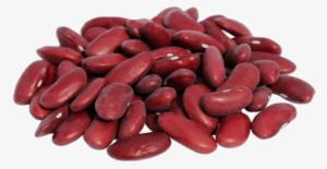 Free Png Kidney Beans Png Images Transparent - Kidney Beans Transparent Background #1038215