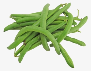 Green Bean Png - Green Beans Png #1038264