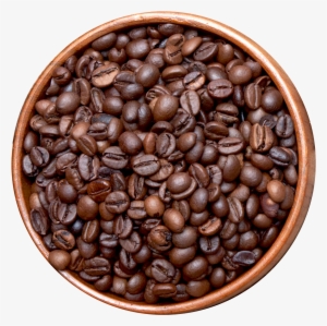 Coffee Bean #1038518