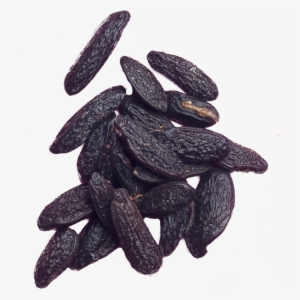 Tonka Bean #1038963