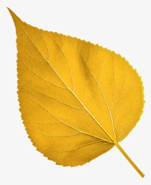 Gold Leaf Films Freeuse Download - Gold Leaves Png #1039016 Gold Leaf Films Freeuse Download - Gold Leaves Png #1039016