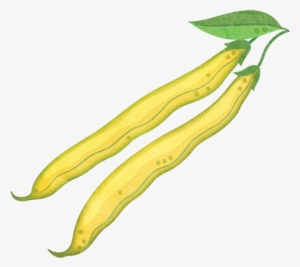 Yellow Beans #1039129