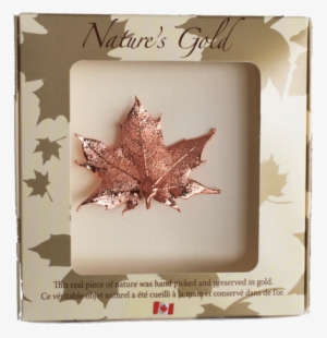 Maple Leaf Brooch - Bronze Canadian Maple Leaf Brooches #1039459
