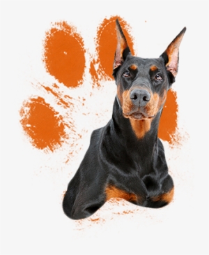 When Raised With Love, Respect, And Proper Training #1040013