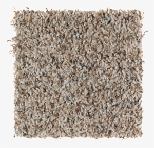 Design Potrait- Sea Shells - Mohawk Sand Dollar Carpet #1040113