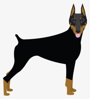 Dog #1040167