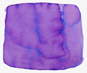 57 Kobe Hydrangea #1040196